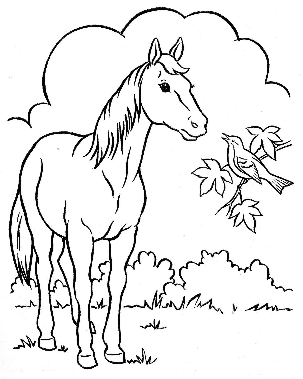 Cavalo olhando para frente para colorir e imprimir