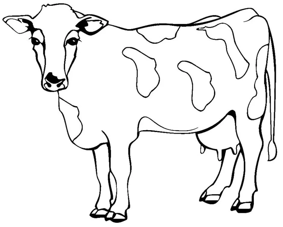 Vacas Para Colorir Desenhos Imprimir