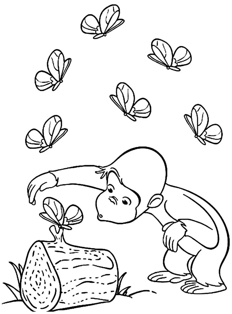 Desenho Para Colorir macaco - Imagens Grátis Para Imprimir - img 17524